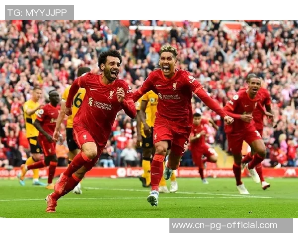 被扁虱折磨的玻璃人从德甲到欧冠亚军的传奇人生与荣耀回忆